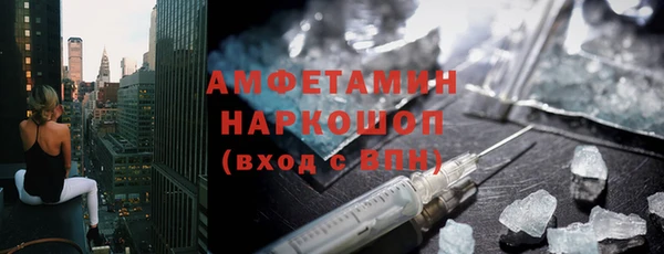 гидра Надым