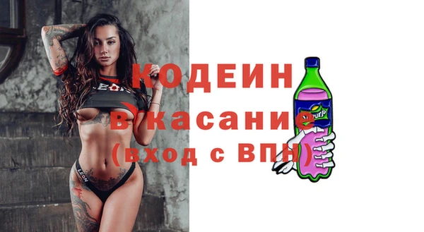 гидра Надым