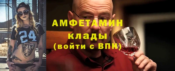 гидра Надым