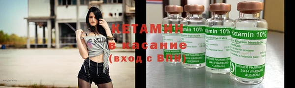 гидра Надым