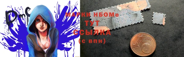 гидра Надым