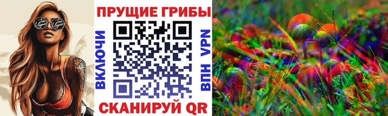 Псилоцибиновые грибы мицелий MEGA как зайти площадка наркотические препараты Иноземцево